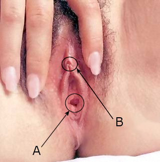 Куннилингус